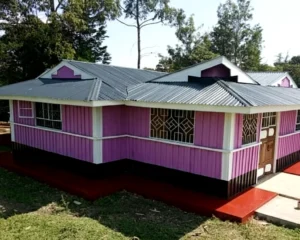 রঙিন টিনের ঘরের ডিজাইন 2